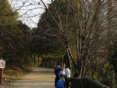 -冶山国家矿山公园