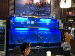 水产区-姜君·千岛湖鱼头馆(浦东大道店)