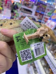 -玩具反斗城(正大广场店)