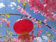 -野三坡刘家河高山漂流