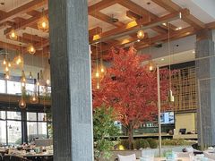 -拈菜(观音桥阳光世纪店)
