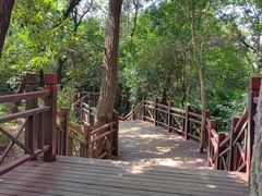 -紫金山山顶公园