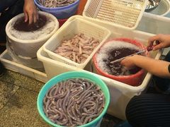 -御唐府海珊瑚主题餐厅