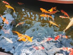 -侠成水上农庄(工业大道店)