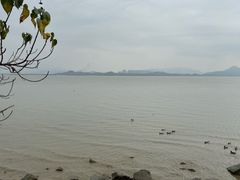 -深圳湾公园(南山区)