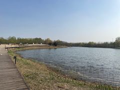 -东郊湿地公园