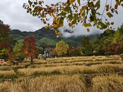 -塔川景区