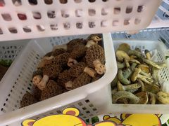 -菌之家·专业纯野生菌火锅·特色炒菌