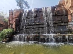 -石家庄市植物园