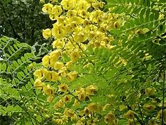 -西安市长乐公园