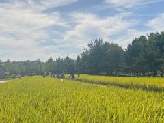 -北坞公园