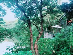 -木守西溪溪隐餐厅