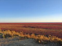 -红海滩国家风景廊道