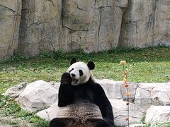 -上海野生动物园