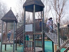 -唐城墙遗址公园