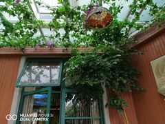 -飞虎过桥米线(翠湖店)
