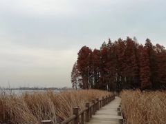 -东湖落雁景区