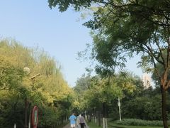 -南翠屏公园