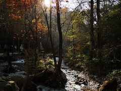 -玉渡山自然风景区
