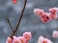 -北京明城墙遗址公园