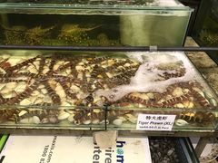 -双天海鲜楼
