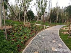 -回龙观体育文化公园
