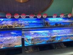 水产区-鸽子侯·家宴·平价海鲜(市图书馆店)