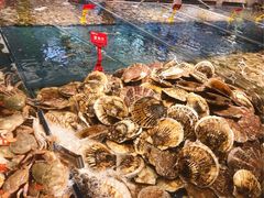 大扇贝-钱库里海鲜自助(星海广场店)