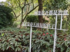 -云溪植物园