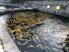 -天源渔港农庄