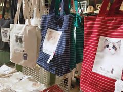 -猫咪博物馆(顶澳仔猫街店)