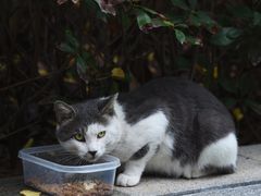 -吉派索自家烘焙咖啡馆(千佛山店)