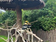 -上海野生动物园