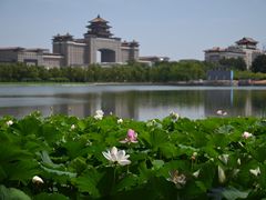 -莲花池公园