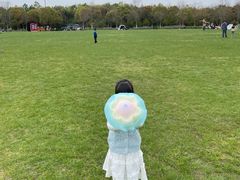 -上海海湾国家森林公园