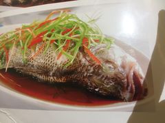 鲈鱼-粗茶淡饭•陕菜•家常菜