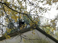 -西湖风景区十里琅珰-五云山