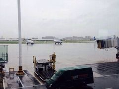 高崎机场t3航站楼-厦门高崎国际机场-T3航站楼