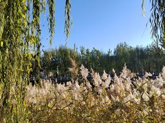 -南翠屏公园