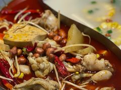-麻田会 ·鲜活现烹·牛蛙火锅(珠江新城维家思广场店)