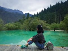 -黄龙山原始森林景区