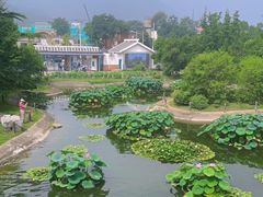 -国家植物园南园