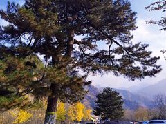 -秦岭终南山世界地质公园翠华山景区