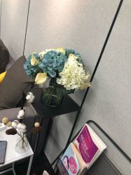 -MJ skin care国际皮肤管理中心