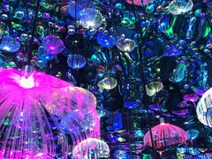 -天津梵高星空艺术馆(天河城旗舰店)