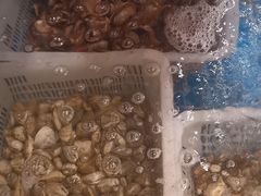 -和源祥·日照菜扛把子(万平口一店)