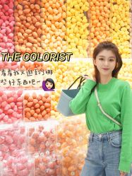 -THE COLORIST调色师