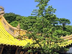 -普陀山风景区-佛顶山