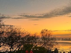 -宝安西湾红树林湿地公园