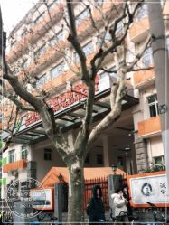 -上海市长宁区妇幼保健院